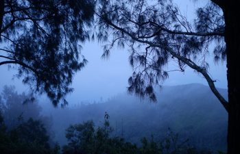 DSCF6420